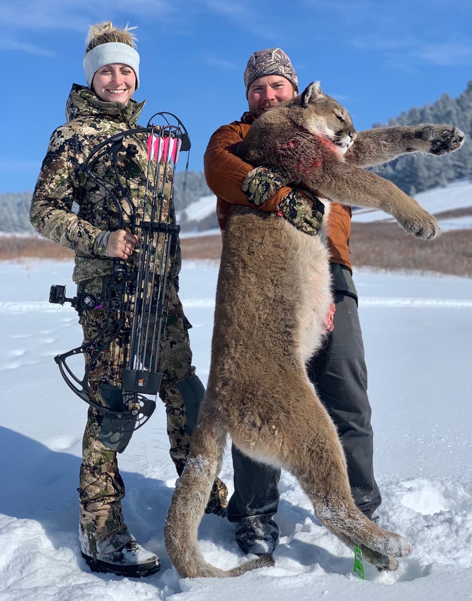 Mountain Lion Hunts
